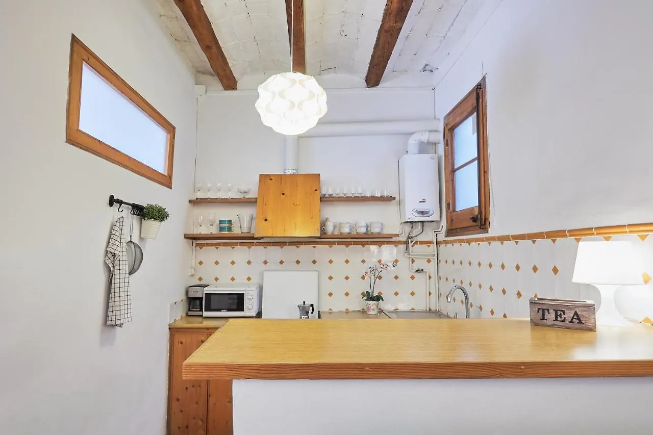Gracia Apartment 巴塞罗那